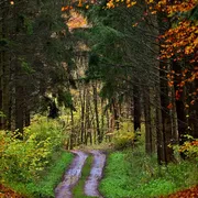 buyonlinecontestvote.com