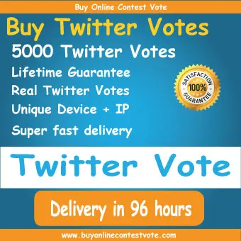 Buy Twitter Vote